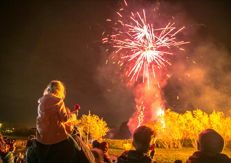 Is It Worth Legalizing Fireworks in Illinois? Center for Illinois Politics